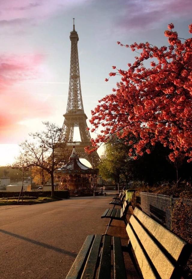 巴黎浪漫的埃菲尔铁塔，修建之初为何遭到了文学和艺术界的抗议?