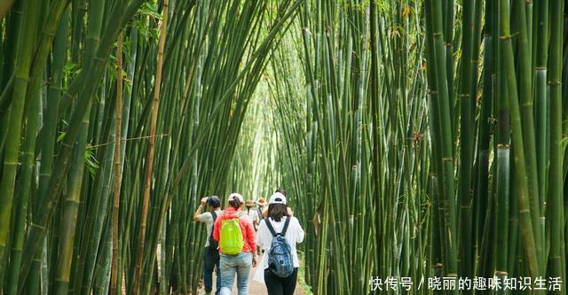  「中国」中国最美的丹霞地貌，贵州赤水丹霞，让全世界赞叹大自然奇观