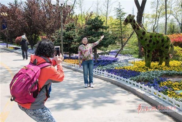  『枯桃花艺生态园』缤纷花海免费游！第三届青岛花卉博览会开幕