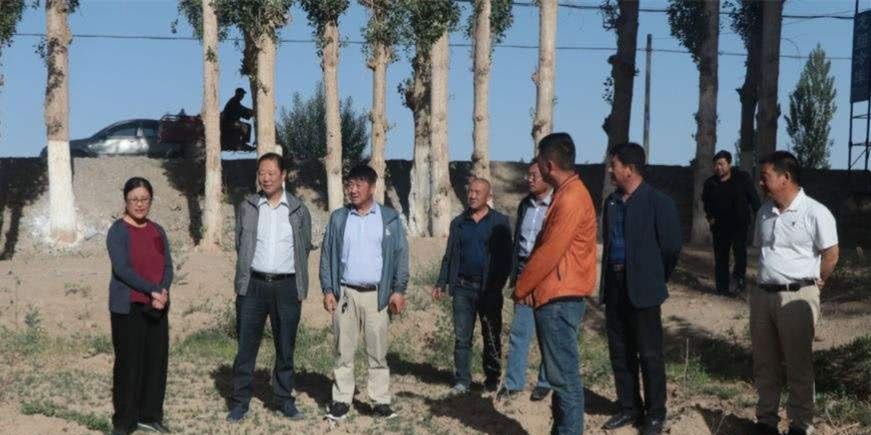  【奖励】解决土地抛荒措施来了！奖励严禁双管齐下，有地的农民