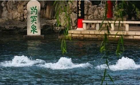 “大妈式旅游”又来了,在济南摆拍“吐水”,网友:漱口请回家漱