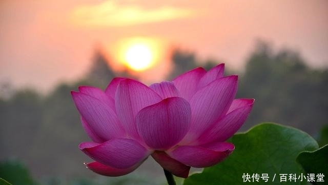 来了才知道,大明湖的“明”字竟然多了一横,专家是这样解释的