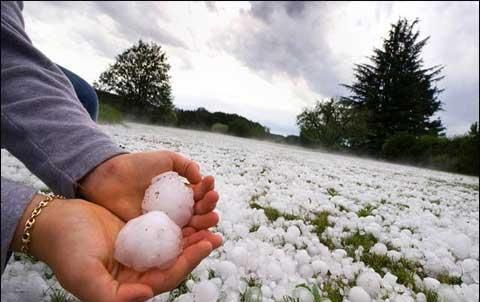  昨晚：昨晚河北多地区出现冰雹，冰雹对农作物破坏太大？看完明白了
