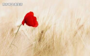  『油脂分泌』护肤10个坑，每个坑都是给你的皮肤埋雷