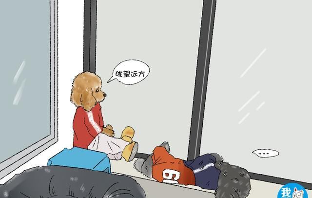  「误以为」狗狗翘着二郎腿坐在窗前，铲屎官还误以为是人，不由感叹成精了