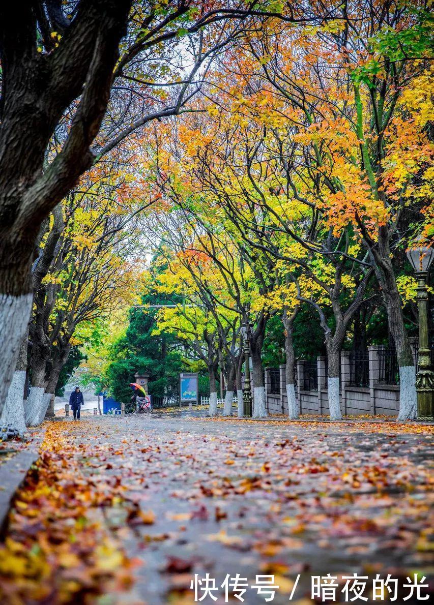 10月最佳旅行地榜单，这些地方的颜值要逆天了