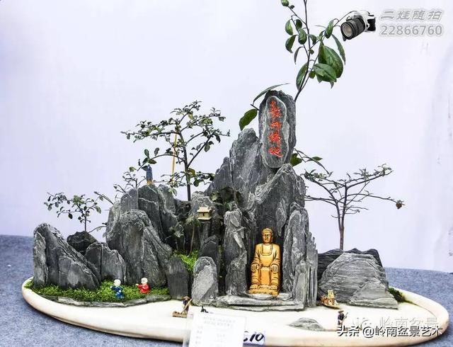 把温江盆景卖到欧洲去