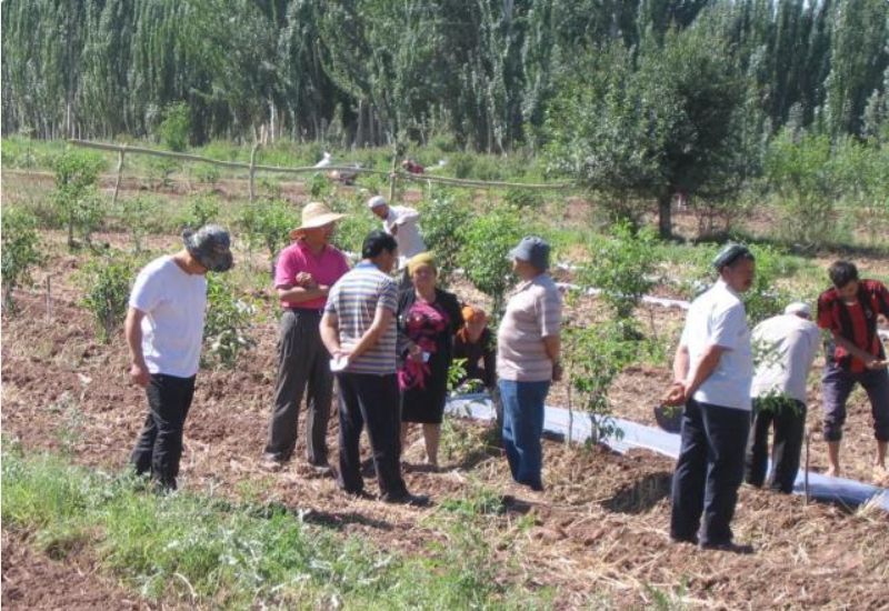 对村干部不为村民办事不满，只要有这几情况就可以举报！