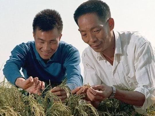 中国攻克世界难题，沙漠地区被彻底治理，西方感叹:堪称一大奇迹