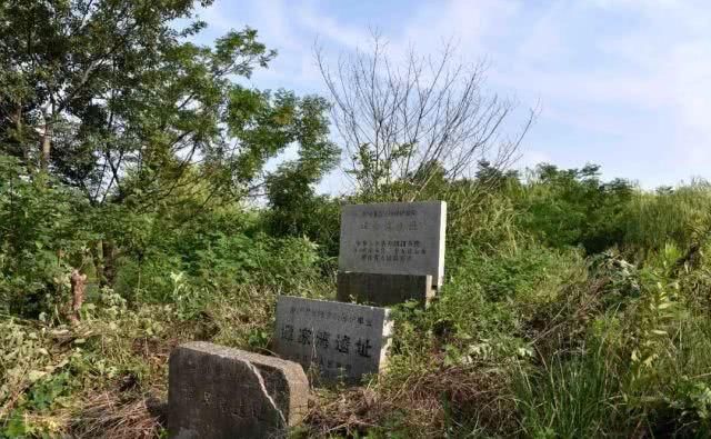 两条运河孕育、滋养出了桐乡这个千年风情古镇