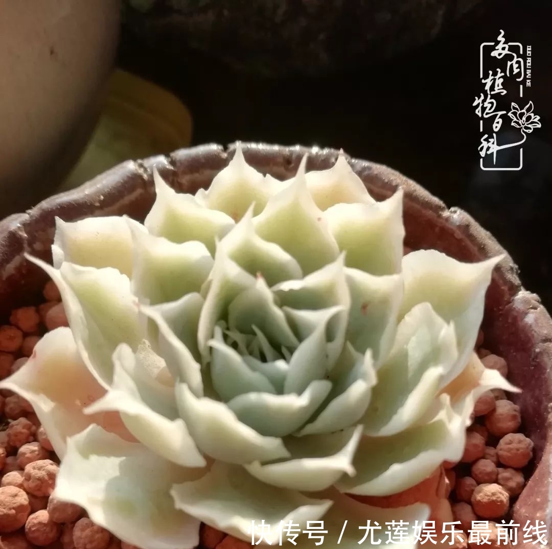 『那种』我爱的,就是你的存在!只要努力该来的都在路上!