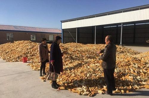 想返乡创业？农村3个生意都不错，起早贪黑的干，月入1万不算难