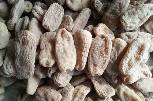  种植@山里人称“一根棍”的野草，根茎珍贵，城里1000块钱一斤买断货