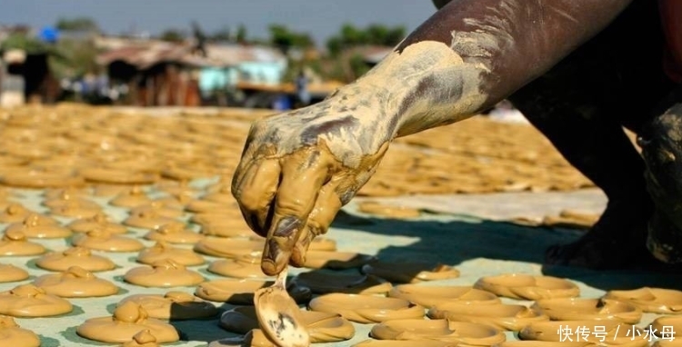 中国人在非洲种植这种植物, 受到当地人嘲笑, 谁料尝到甜头后一抢