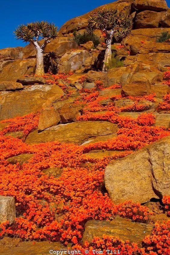 58张罕见奇景大片！太美太震撼