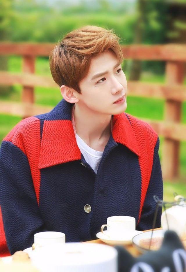 让白敬亭看似整容的6款发型, 男生换发型如换脸!