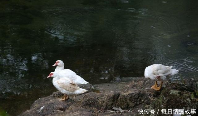 江西不止有婺源、三清山，还有这2处鲜为人知的小众景点