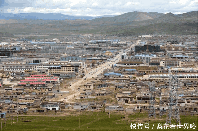 中国最易“赚钱”的城市: 种活一棵树奖励30万, 却无人拿到过