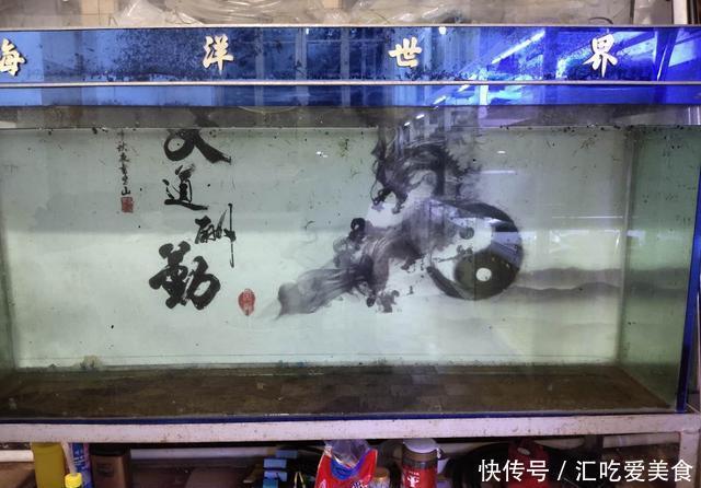  腾出■买了两个超大困水桶，能装五百斤水，腾出鱼缸饲养中大型观赏鱼