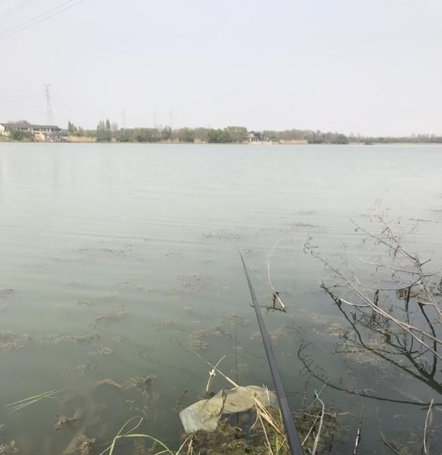  失之交臂■壁虎河之行-与大物失之交臂，还好有小鲤安慰
