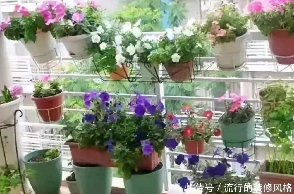 「技巧」盆土容易结板,掌握这些技巧,土壤疏松透气,养分充足