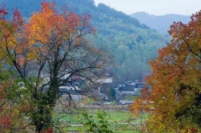 似梦徽州，总有一抹撩人的秋