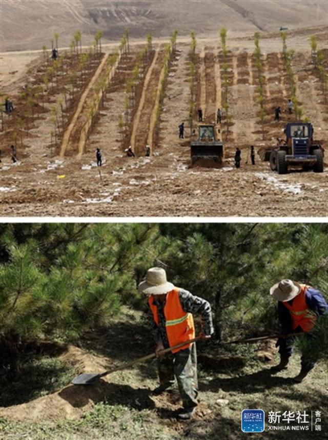 从“沙遍地”到“绿满园” 看潮白河畔沙坑“变形记”