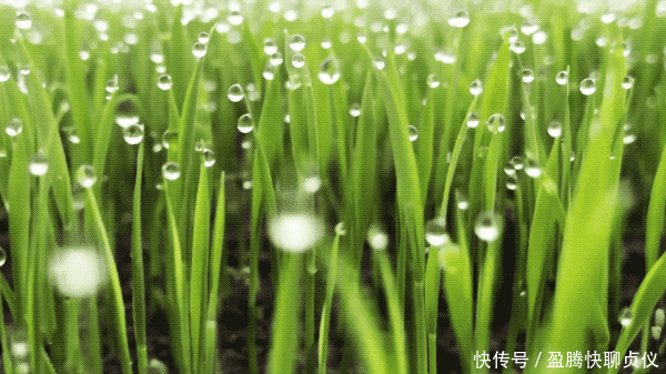 这部纪录片央视发力了,每一帧都可以当壁纸,BBC也无法超越