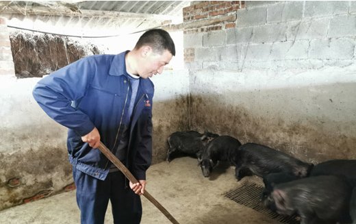 「南川」重庆南川:家庭农场搞“组合经济” 一年收入二十多万