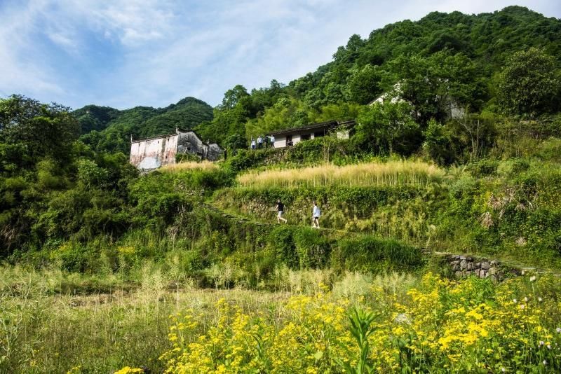 600多年的明朝古村落无人问津，是山高林深还是我们忘本