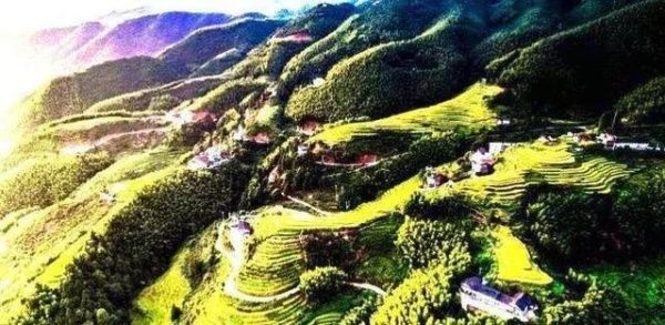 秋收崇义｜金秋奇观 上堡梯田