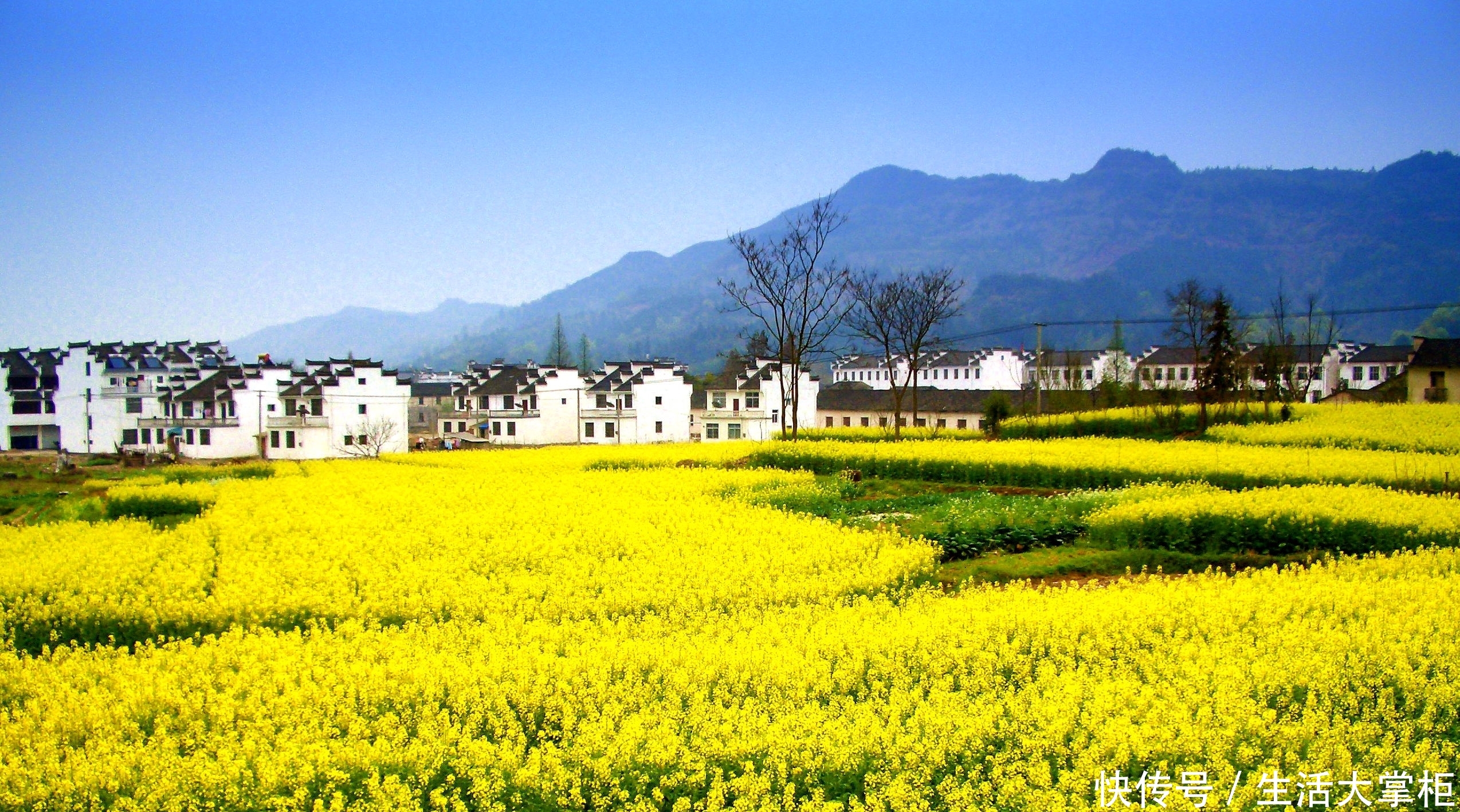 江西十大最美景点，江西最好玩的地方，你去过几个了？