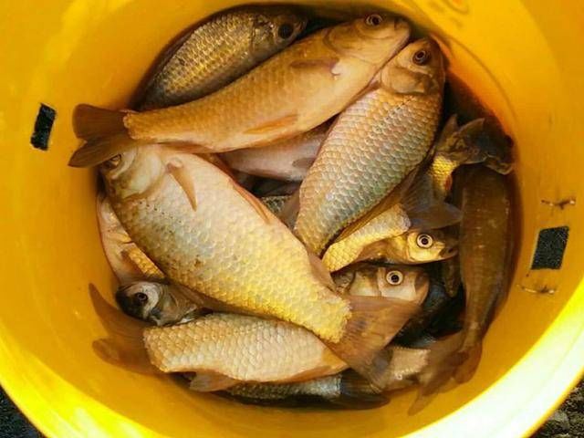  【花钱买】不想花钱买装备，就自己研究一下，我这个钓鱼装备看上去不错吧！