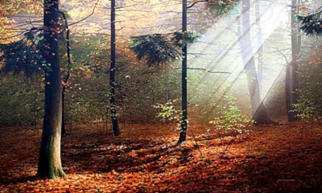 【醉在画中】俄罗斯画家米哈伊尔.费多罗夫风景油画