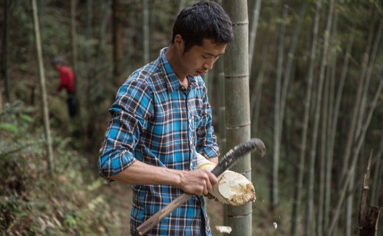 36岁农民解散IT公司，回农村干起了这个，半年就赚到了15万