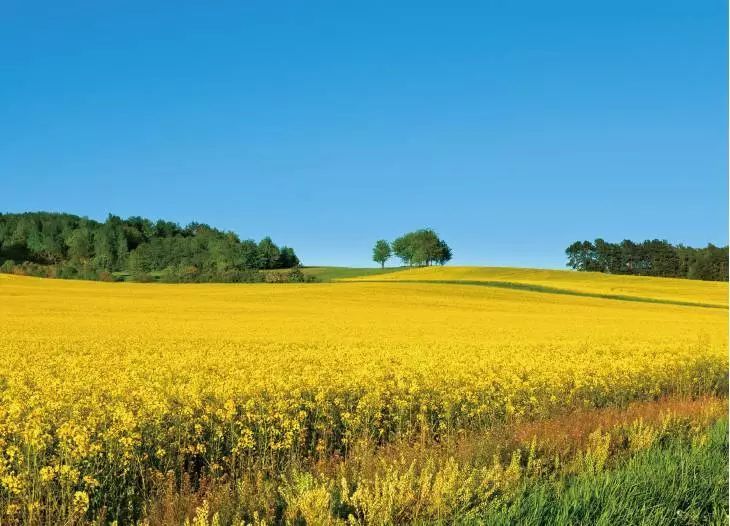 学会这几招，用手机摄影秒杀朋友圈