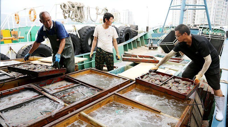  上市@中秋节前梭子蟹大量上市，连云港每天上岸30多万公斤，畅销