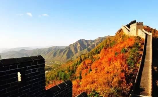 赏红叶打卡地！别错过整个秋天，这个景区，50岁以上免票！