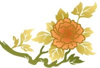 看招!魏璎珞实力戳破5个关于社保的谣言&amp;谎话