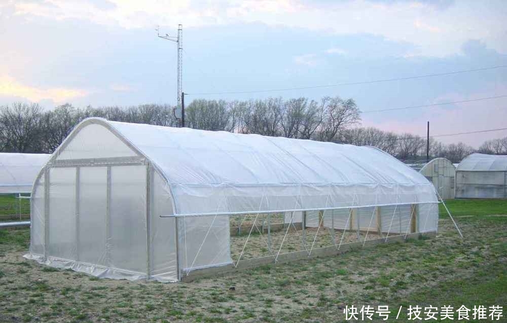  大棚■盖大棚穷三年，农民抱怨不赚钱，以色列的温室大棚为啥这