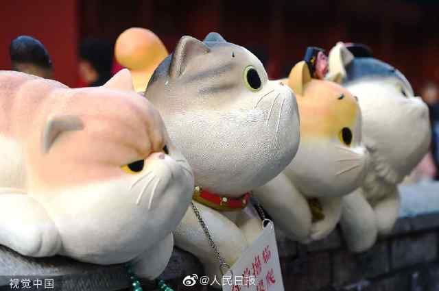 喵！喵！喵！故宫神武门现巨型御猫 成为新的旅游打卡圣地