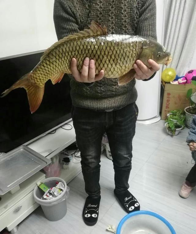  【自制】「自制鱼饵」窝料制作千千万，适合自己的才最佳