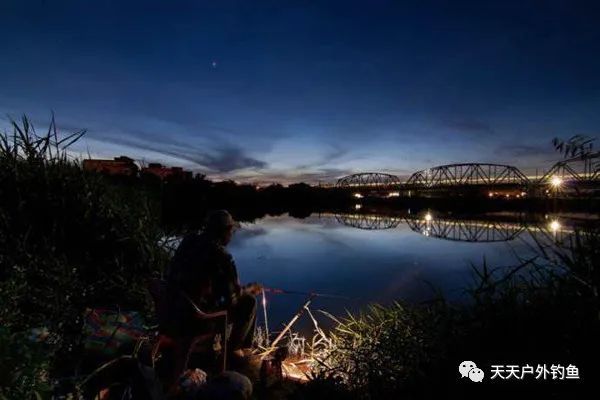  「白天」晚春玩夜钓，注意这些老套路，牢记4钓4不钓，助你连竿上鱼！