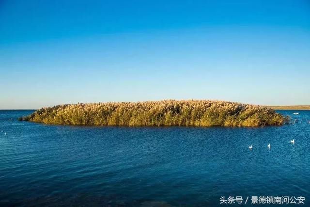 额济纳：中国最美的秋天！