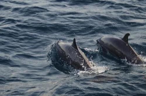 马尔地夫度假旅行如何选择岛屿？这篇攻略让你不再纠结