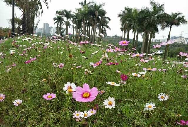 南建路口:南宁亭洪路延长线通车不久,房东就涨房租,好在不用再走漆黑小路