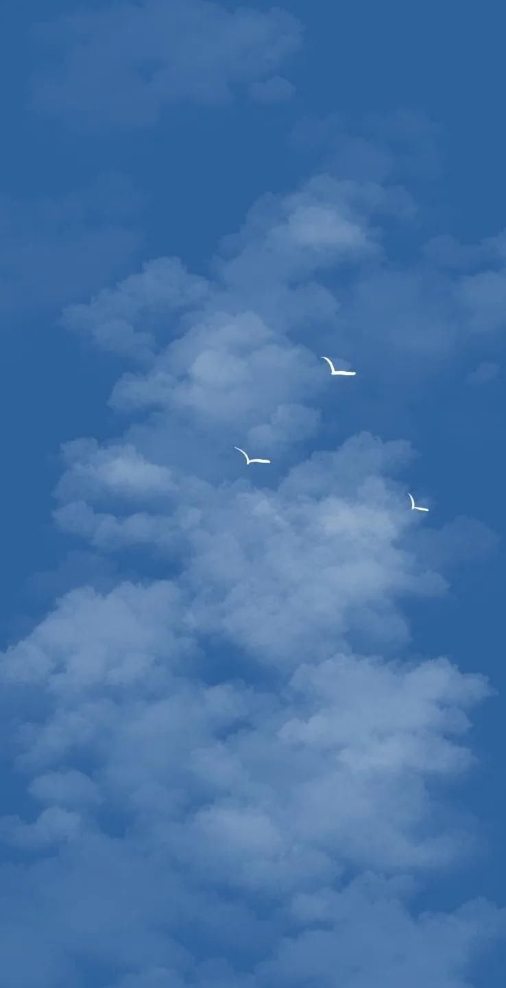  [好久不见]全面屏壁纸·聊天背景图·美文诗：待到春暖花开，说声“好久不见”