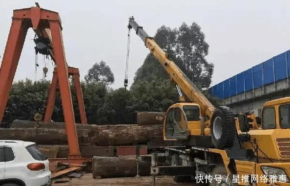  #成批#成批卡车成批运回非洲原木, 全切实木大板却引广泛质疑