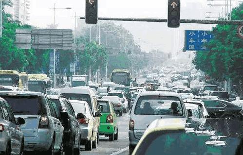 开车撞了狗用不用赔偿？交警给出最终解释，车主：再也不担心被讹