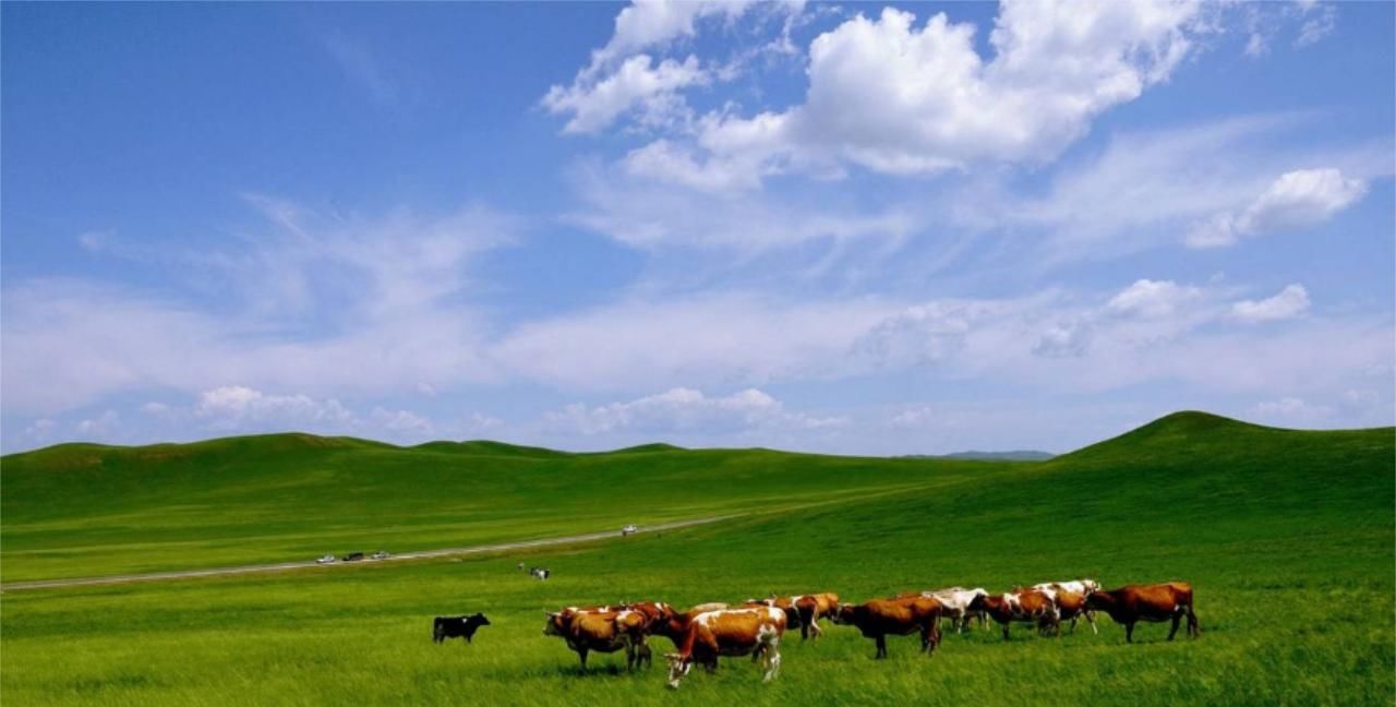 为什么大草原上只有草，而没有大树呢？看完才明白